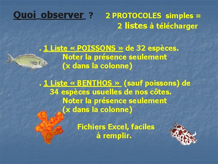 Quoi observer ? 2 PROTOCOLES simples = 2 listes à télécharger . 1 Liste