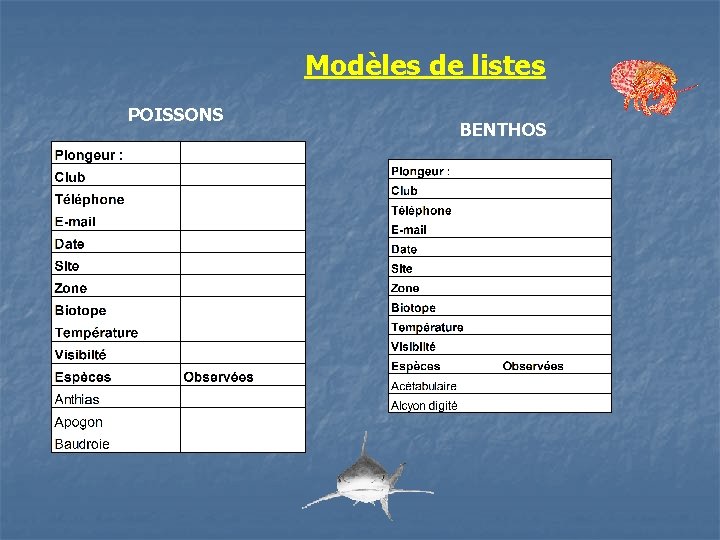Modèles de listes POISSONS BENTHOS 