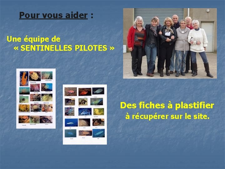 Pour vous aider : Une équipe de « SENTINELLES PILOTES » Des fiches à