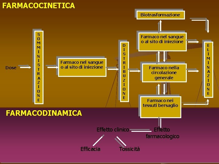 FARMACOCINETICA Biotrasformazione Dose S O M M I N I S T R A