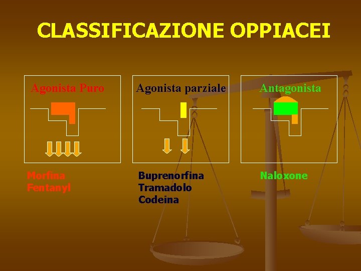 CLASSIFICAZIONE OPPIACEI Agonista Puro Morfina Fentanyl Agonista parziale Antagonista Buprenorfina Tramadolo Codeina Naloxone 