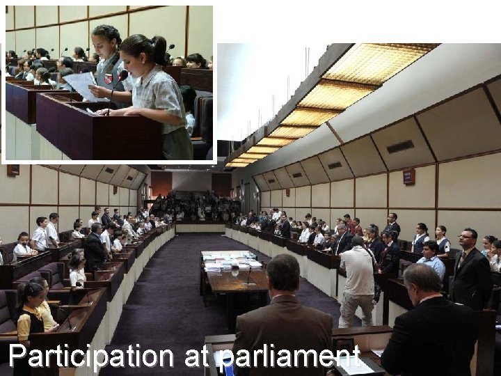 Participation at parliament 