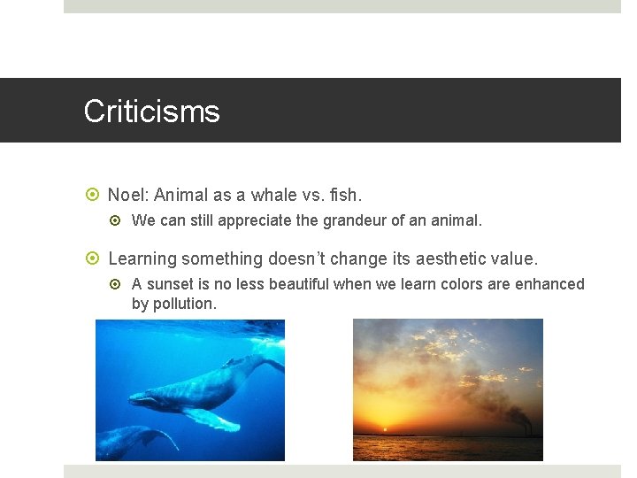 Criticisms Noel: Animal as a whale vs. fish. We can still appreciate the grandeur