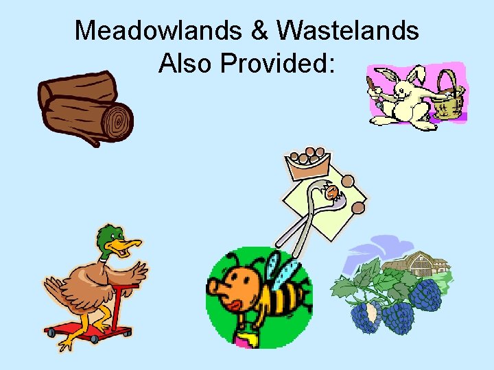 Meadowlands & Wastelands Also Provided: 
