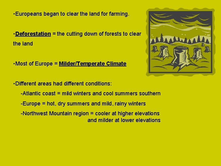  • Europeans began to clear the land for farming. • Deforestation = the