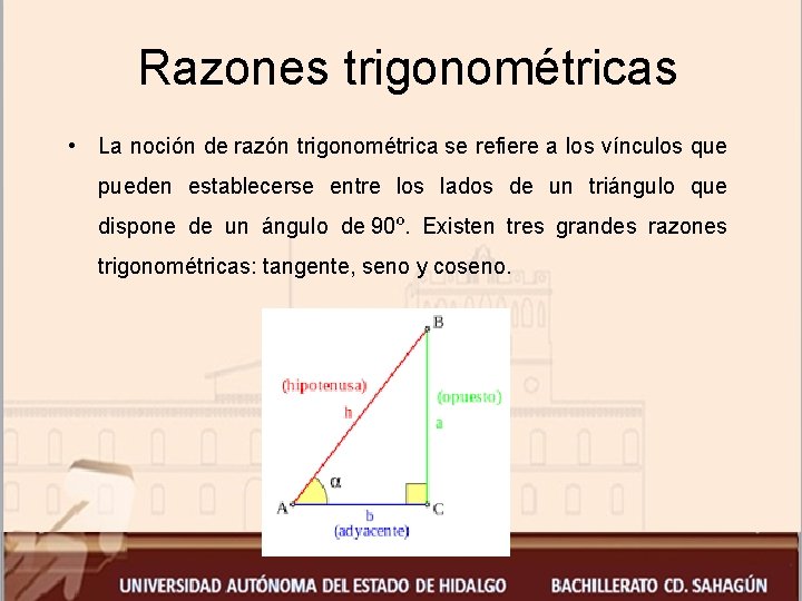 Razones trigonométricas • La noción de razón trigonométrica se refiere a los vínculos que
