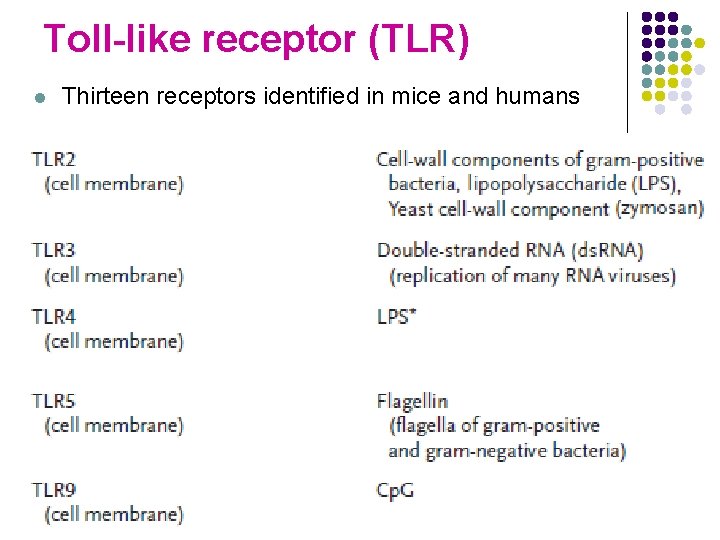 Toll-like receptor (TLR) l Thirteen receptors identified in mice and humans 