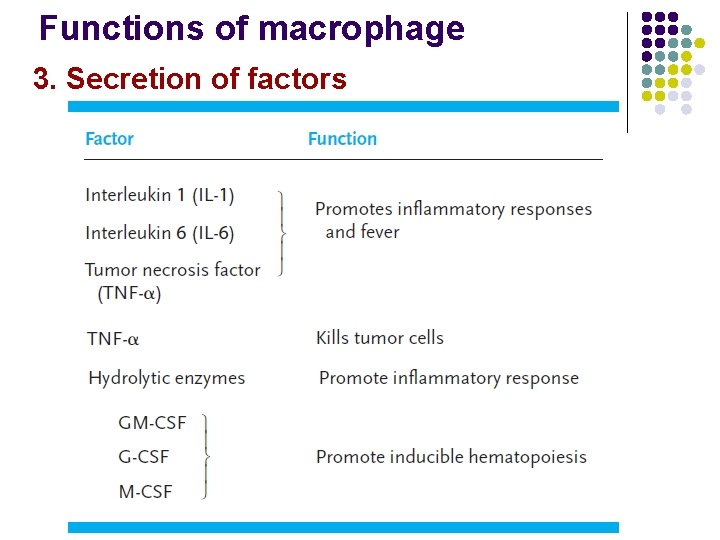 Functions of macrophage 3. Secretion of factors 