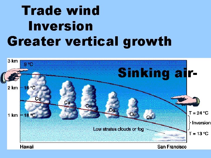 Trade wind Inversion Greater vertical growth Sinking air- 