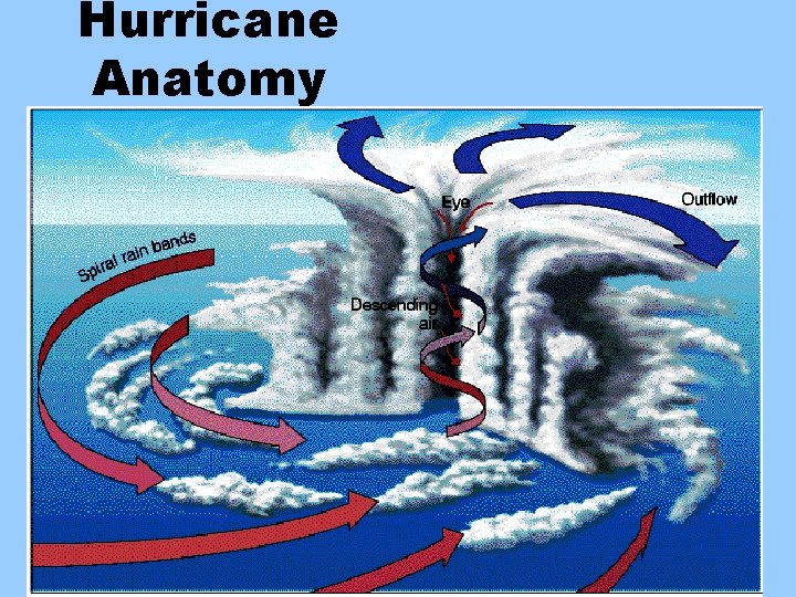Hurricane Anatomy 