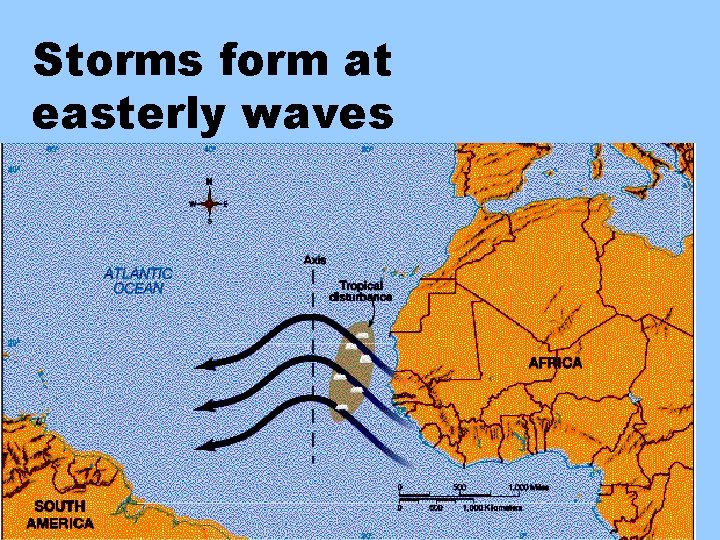 Storms form at easterly waves 