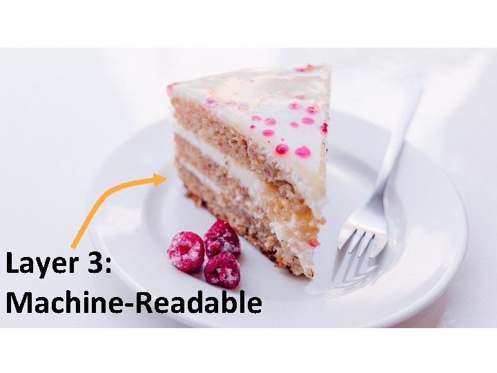 Layer 3: Machine-Readable 