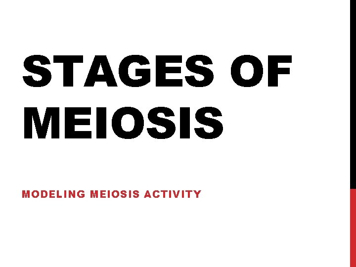 STAGES OF MEIOSIS MODELING MEIOSIS ACTIVITY 