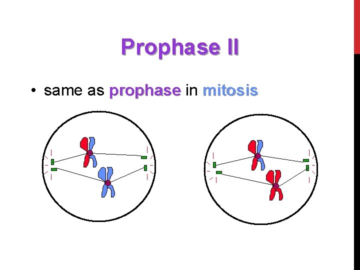 Prophase II • same as prophase in mitosis 