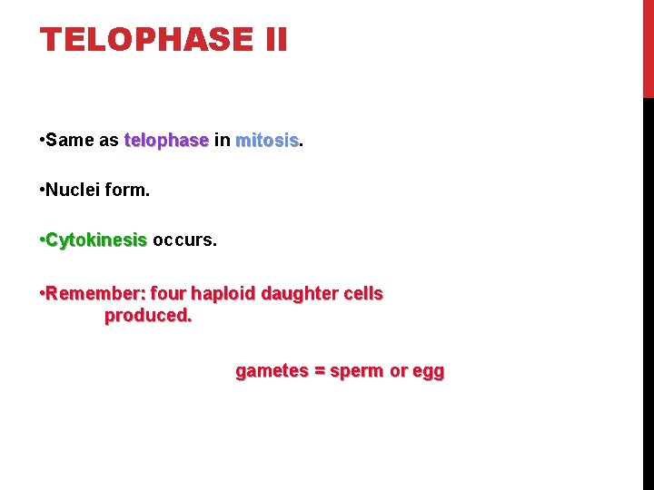 TELOPHASE II • Same as telophase in mitosis • Nuclei form. • Cytokinesis occurs.