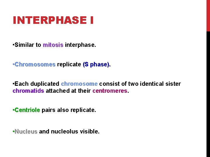 INTERPHASE I • Similar to mitosis interphase. • Chromosomes replicate (S phase). • Each