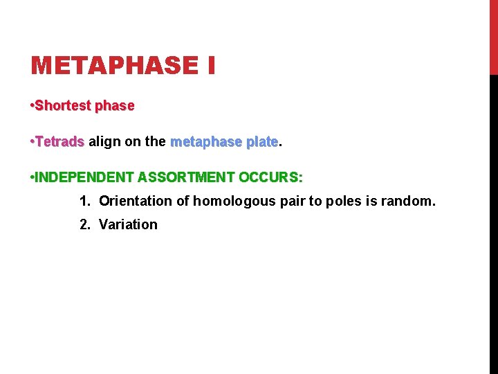 METAPHASE I • Shortest phase • Tetrads align on the metaphase plate • INDEPENDENT