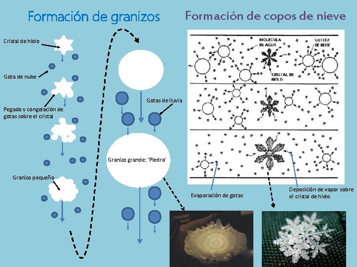 Formación de granizos Formación de copos de nieve Cristal de hielo Gota de nube