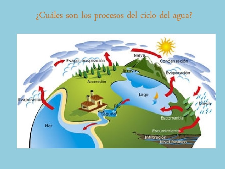 ¿Cuáles son los procesos del ciclo del agua? 