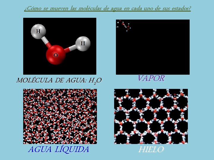 ¿Cómo se mueven las moléculas de agua en cada uno de sus estados? MOLÉCULA