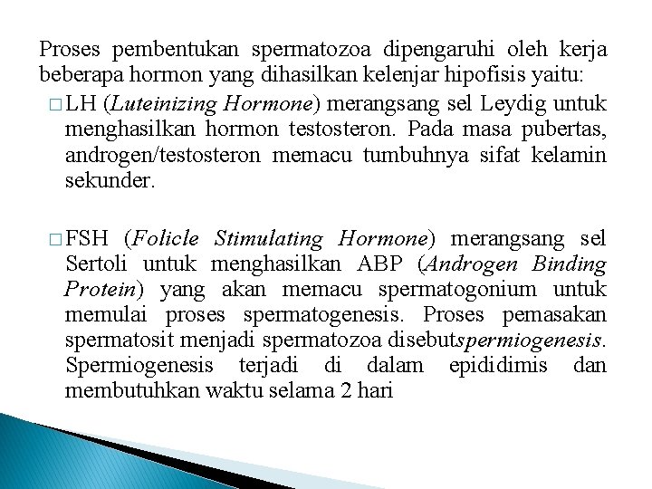 Proses pembentukan spermatozoa dipengaruhi oleh kerja beberapa hormon yang dihasilkan kelenjar hipofisis yaitu: �