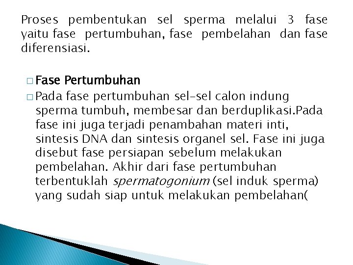 Proses pembentukan sel sperma melalui 3 fase yaitu fase pertumbuhan, fase pembelahan dan fase