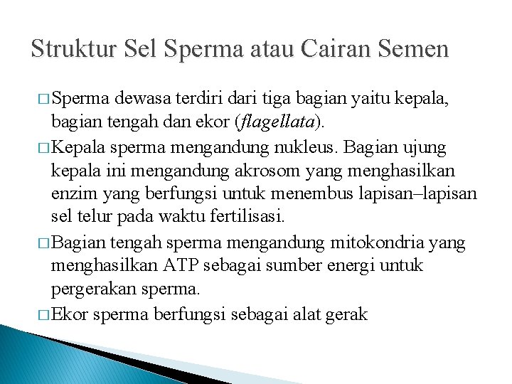 Struktur Sel Sperma atau Cairan Semen � Sperma dewasa terdiri dari tiga bagian yaitu