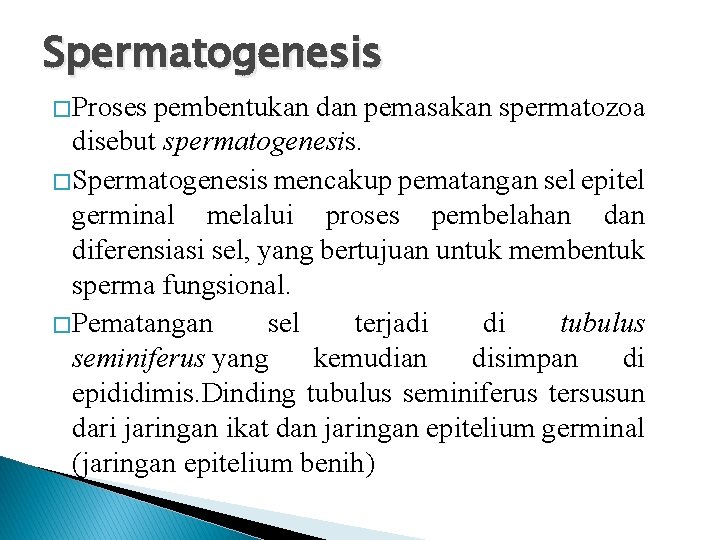 Spermatogenesis �Proses pembentukan dan pemasakan spermatozoa disebut spermatogenesis. �Spermatogenesis mencakup pematangan sel epitel germinal
