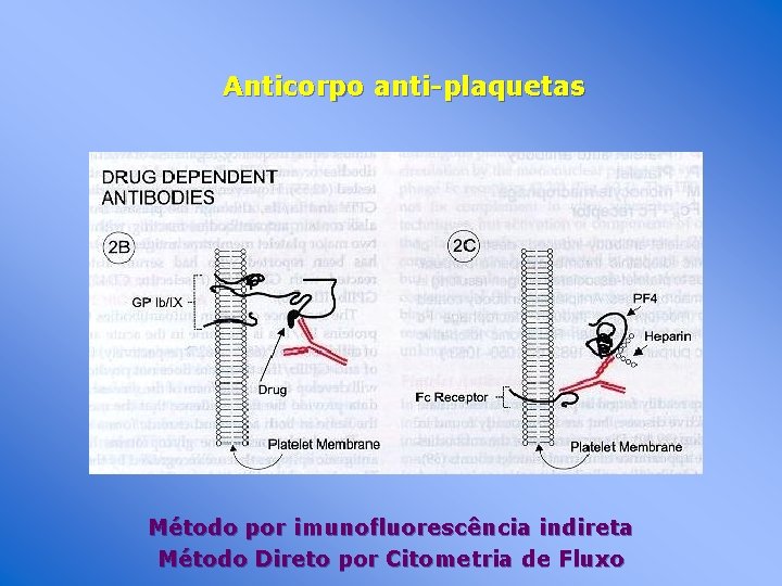 Anticorpo anti-plaquetas Método por imunofluorescência indireta Método Direto por Citometria de Fluxo 