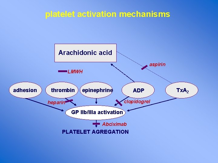 platelet activation mechanisms Arachidonic acid aspirin LMWH adhesion thrombin epinephrine ADP clopidogrel heparin GP