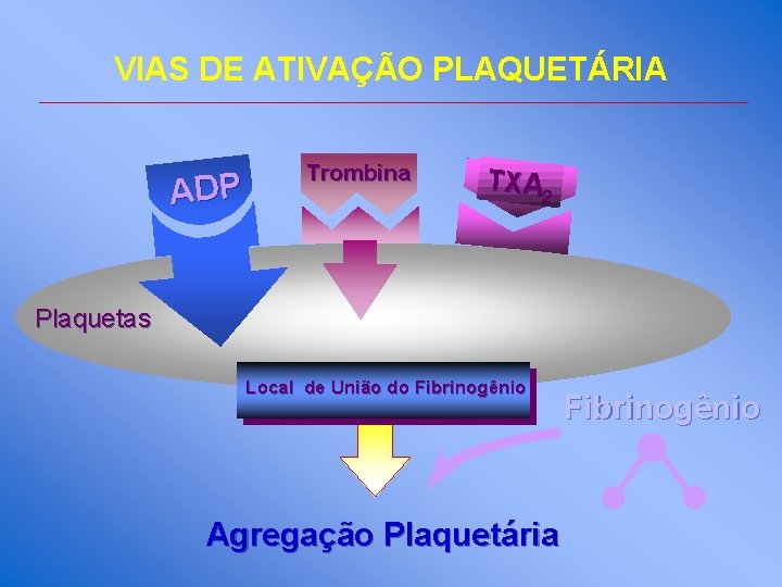 VIAS DE ATIVAÇÃO PLAQUETÁRIA ADP Trombina TXA 2 Plaquetas Local de União do Fibrinogênio