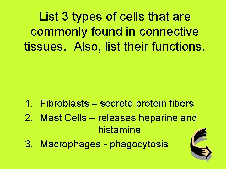 List 3 types of cells that are commonly found in connective tissues. Also, list