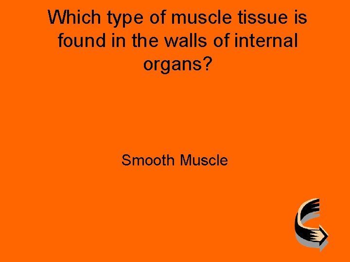 Which type of muscle tissue is found in the walls of internal organs? Smooth