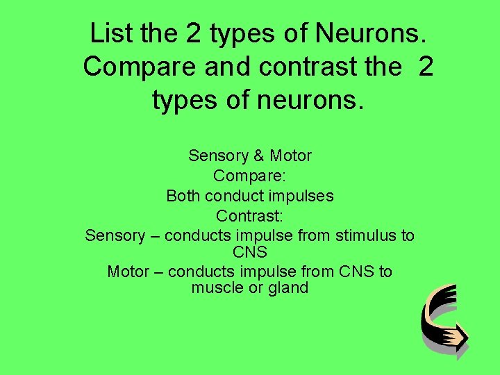 List the 2 types of Neurons. Compare and contrast the 2 types of neurons.