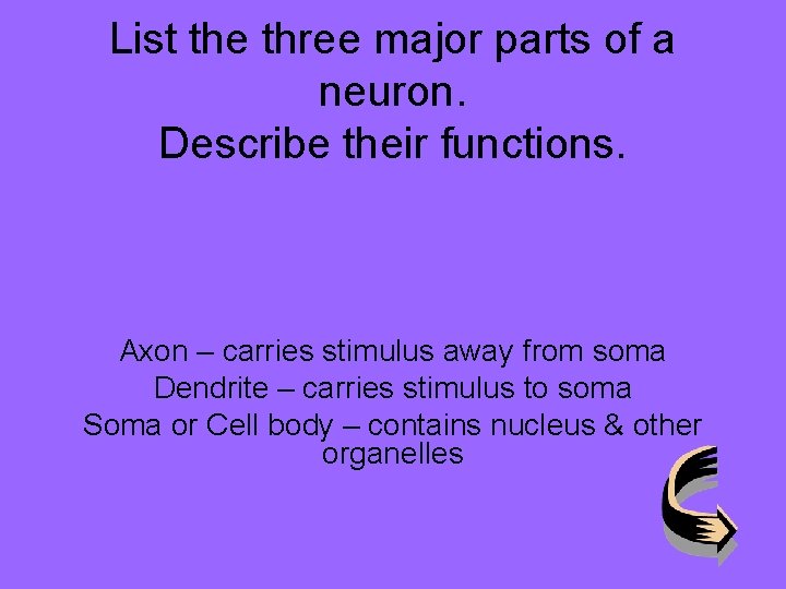 List the three major parts of a neuron. Describe their functions. Axon – carries