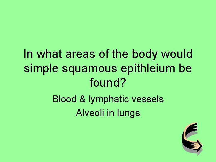 In what areas of the body would simple squamous epithleium be found? Blood &