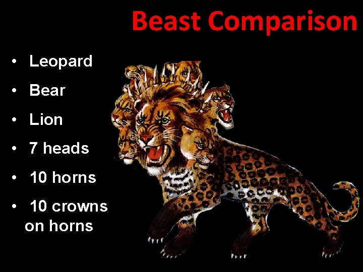 Beast Comparison • Leopard • Bear • Lion • 7 heads • 10 horns