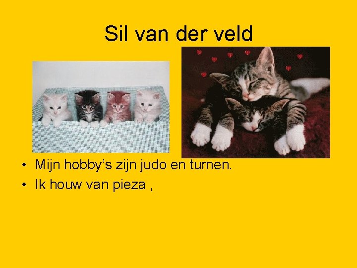 Sil van der veld • Mijn hobby’s zijn judo en turnen. • Ik houw