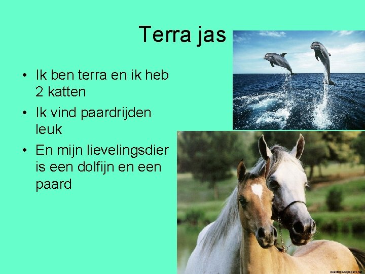 Terra jas • Ik ben terra en ik heb 2 katten • Ik vind