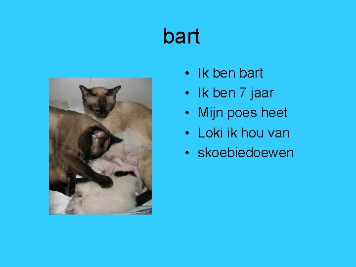 bart • • • Ik ben bart Ik ben 7 jaar Mijn poes heet