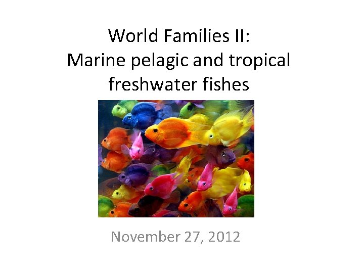 World Families II: Marine pelagic and tropical freshwater fishes November 27, 2012 