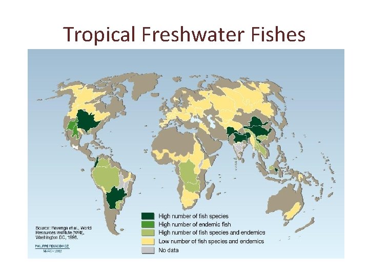 Tropical Freshwater Fishes 