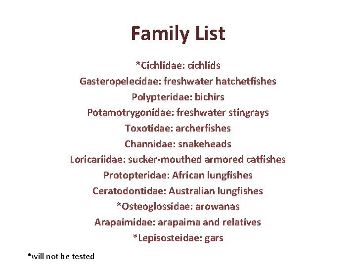 Family List *Cichlidae: cichlids Gasteropelecidae: freshwater hatchetfishes Polypteridae: bichirs Potamotrygonidae: freshwater stingrays Toxotidae: archerfishes