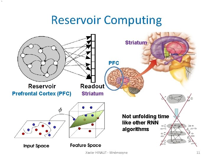Reservoir Computing Striatum PFC Prefrontal Cortex (PFC) Striatum Not unfolding time like other RNN