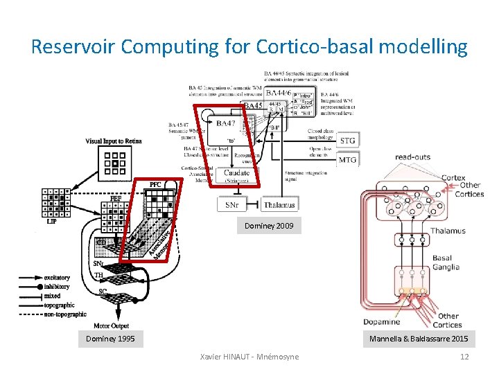 Reservoir Computing for Cortico-basal modelling Dominey 2009 Dominey 1995 Mannella & Baldassarre 2015 Xavier