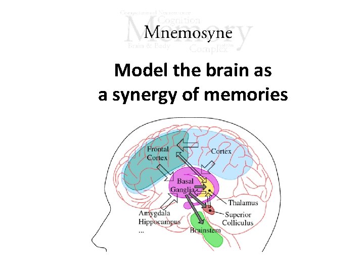 Model the brain as a synergy of memories 