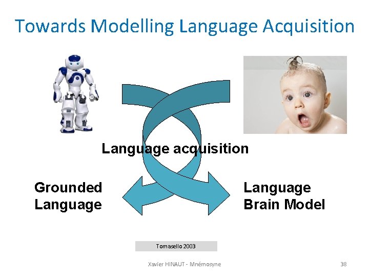 Towards Modelling Language Acquisition Language acquisition Language Brain Model Grounded Language Tomasello 2003 Xavier
