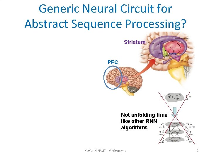 Generic Neural Circuit for Abstract Sequence Processing? Striatum PFC Not unfolding time like other
