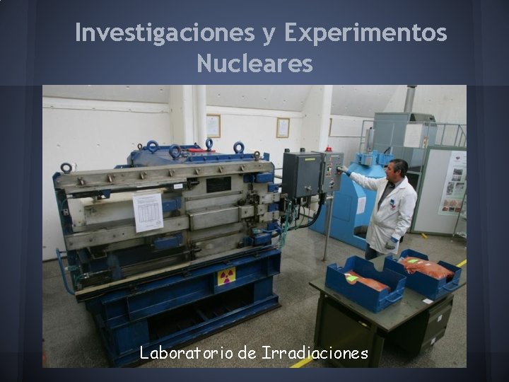 Investigaciones y Experimentos Nucleares Laboratorio de Irradiaciones 