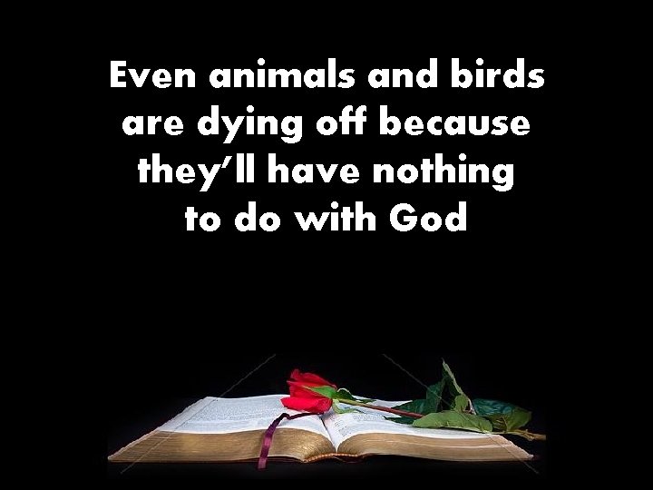 Even animals and birds are dying off because they’ll have nothing to do with